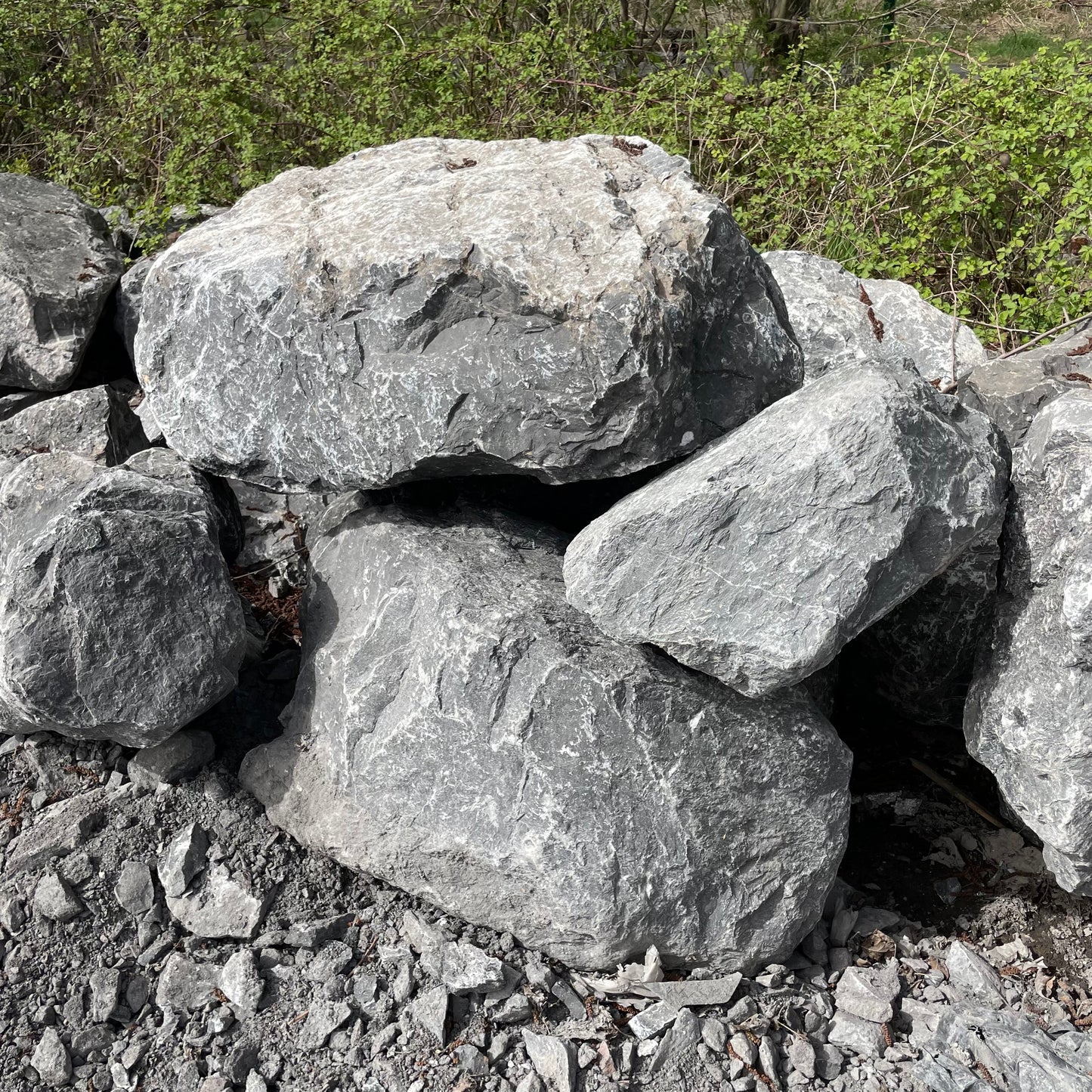 Felsen in GRIS DES ARDENNES