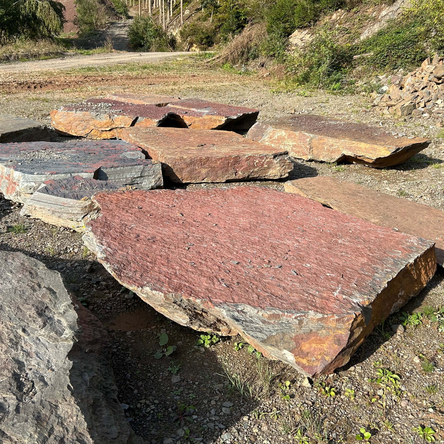 Natürlicher Spaziergang im FARBIGEN Schiefer der Ardennen